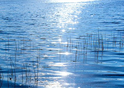 为什么要买净水器，知道的人都默默的装了净水器