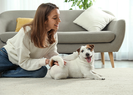 当前大环境下净水器品牌该如何维护市场