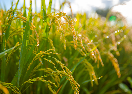 金利源净水器十大品牌：净水器的质量对健康非常重要