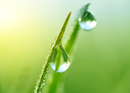 为什么金利源净水器厂家能立于不败之地呢