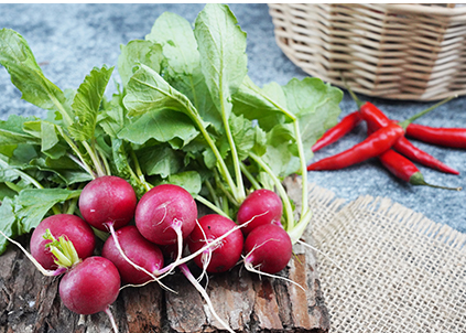 金利源：提升净水器门店客户数量，这几点很关键！